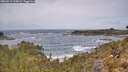 ./images/calvert/foggy-cove/20260519/foggy-cove20260519_115001M.jpg