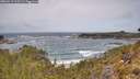 ./images/calvert/foggy-cove/20260519/foggy-cove20260519_115501M.jpg