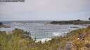 ./images/calvert/foggy-cove/20260519/foggy-cove20260519_120501M.jpg