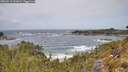 ./images/calvert/foggy-cove/20260519/foggy-cove20260519_121002M.jpg