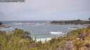 ./images/calvert/foggy-cove/20260519/foggy-cove20260519_121501M.jpg