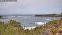 ./images/calvert/foggy-cove/20260519/foggy-cove20260519_122001M.jpg