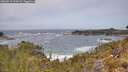 ./images/calvert/foggy-cove/20260519/foggy-cove20260519_123001M.jpg