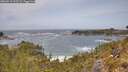 ./images/calvert/foggy-cove/20260519/foggy-cove20260519_123501M.jpg