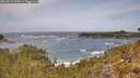 ./images/calvert/foggy-cove/20260519/foggy-cove20260519_124501M.jpg