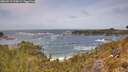 ./images/calvert/foggy-cove/20260519/foggy-cove20260519_125001M.jpg