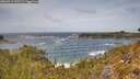 ./images/calvert/foggy-cove/20260519/foggy-cove20260519_125501M.jpg