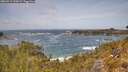 ./images/calvert/foggy-cove/20260519/foggy-cove20260519_130001M.jpg