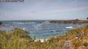 ./images/calvert/foggy-cove/20260519/foggy-cove20260519_130501M.jpg