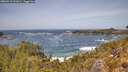 ./images/calvert/foggy-cove/20260519/foggy-cove20260519_131002M.jpg