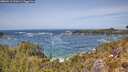 ./images/calvert/foggy-cove/20260519/foggy-cove20260519_132001M.jpg