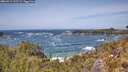 ./images/calvert/foggy-cove/20260519/foggy-cove20260519_132501M.jpg