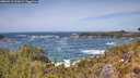 ./images/calvert/foggy-cove/20260519/foggy-cove20260519_133001M.jpg