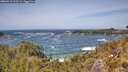 ./images/calvert/foggy-cove/20260519/foggy-cove20260519_133501M.jpg