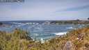 ./images/calvert/foggy-cove/20260519/foggy-cove20260519_134001M.jpg