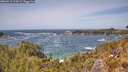 ./images/calvert/foggy-cove/20260519/foggy-cove20260519_134501M.jpg