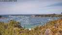 ./images/calvert/foggy-cove/20260519/foggy-cove20260519_135001M.jpg