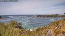 ./images/calvert/foggy-cove/20260519/foggy-cove20260519_135501M.jpg
