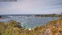 ./images/calvert/foggy-cove/20260519/foggy-cove20260519_140001M.jpg