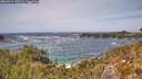./images/calvert/foggy-cove/20260519/foggy-cove20260519_140501M.jpg