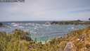 ./images/calvert/foggy-cove/20260519/foggy-cove20260519_141001M.jpg