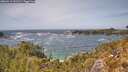 ./images/calvert/foggy-cove/20260519/foggy-cove20260519_141502M.jpg