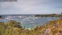 ./images/calvert/foggy-cove/20260519/foggy-cove20260519_142001M.jpg