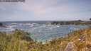 ./images/calvert/foggy-cove/20260519/foggy-cove20260519_142501M.jpg