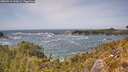 ./images/calvert/foggy-cove/20260519/foggy-cove20260519_143001M.jpg