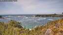 ./images/calvert/foggy-cove/20260519/foggy-cove20260519_143502M.jpg
