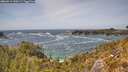 ./images/calvert/foggy-cove/20260519/foggy-cove20260519_144501M.jpg