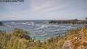 ./images/calvert/foggy-cove/20260519/foggy-cove20260519_145001M.jpg