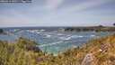 ./images/calvert/foggy-cove/20260519/foggy-cove20260519_150501M.jpg