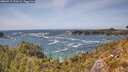 ./images/calvert/foggy-cove/20260519/foggy-cove20260519_151001M.jpg