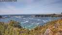 ./images/calvert/foggy-cove/20260519/foggy-cove20260519_151501M.jpg