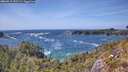./images/calvert/foggy-cove/20260519/foggy-cove20260519_152502M.jpg