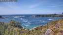 ./images/calvert/foggy-cove/20260519/foggy-cove20260519_153002M.jpg