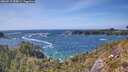 ./images/calvert/foggy-cove/20260519/foggy-cove20260519_154501M.jpg