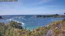 ./images/calvert/foggy-cove/20260519/foggy-cove20260519_155001M.jpg