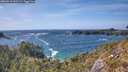 ./images/calvert/foggy-cove/20260519/foggy-cove20260519_161501M.jpg