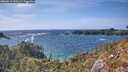 ./images/calvert/foggy-cove/20260519/foggy-cove20260519_163501M.jpg