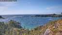 ./images/calvert/foggy-cove/20260519/foggy-cove20260519_165501M.jpg