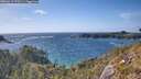 ./images/calvert/foggy-cove/20260519/foggy-cove20260519_170501M.jpg