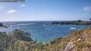 ./images/calvert/foggy-cove/20260519/foggy-cove20260519_171001M.jpg