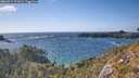 ./images/calvert/foggy-cove/20260519/foggy-cove20260519_172001M.jpg