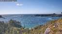./images/calvert/foggy-cove/20260519/foggy-cove20260519_172501M.jpg