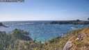 ./images/calvert/foggy-cove/20260519/foggy-cove20260519_173501M.jpg