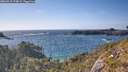 ./images/calvert/foggy-cove/20260519/foggy-cove20260519_174001M.jpg