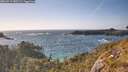 ./images/calvert/foggy-cove/20260519/foggy-cove20260519_180501M.jpg