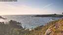 ./images/calvert/foggy-cove/20260519/foggy-cove20260519_190001M.jpg